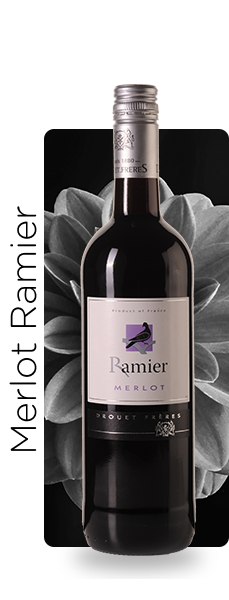 Merlot Ramier