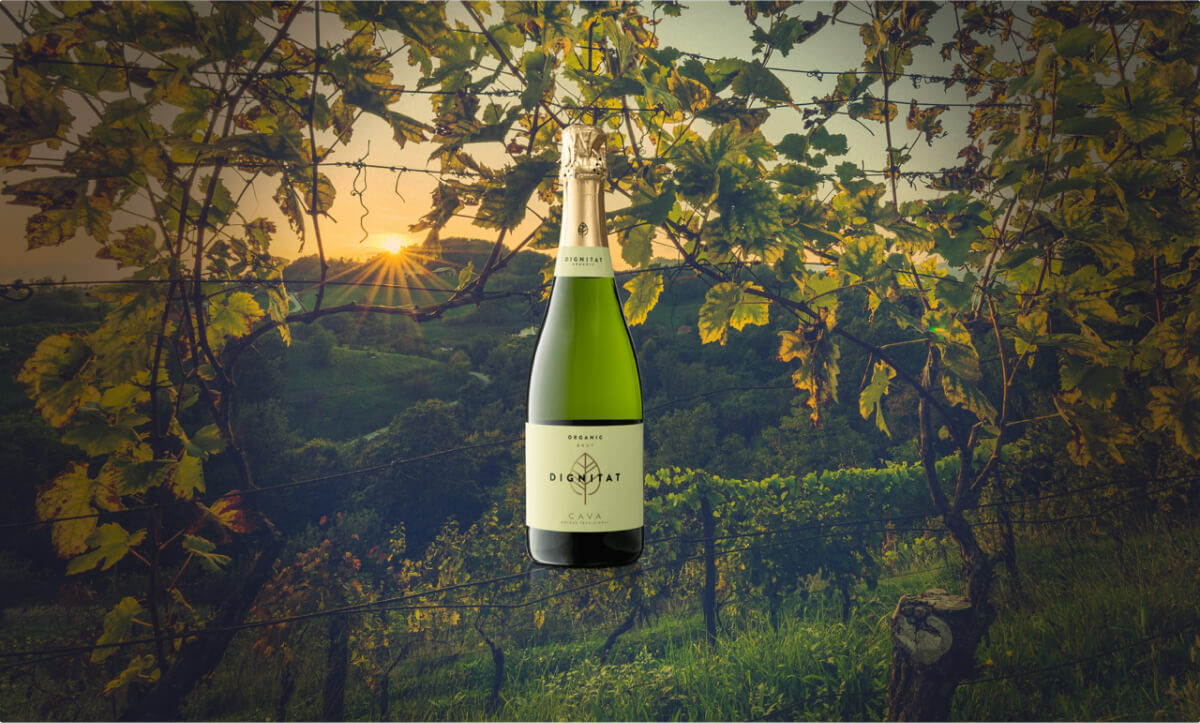 Cava Brut Dignitat Organic